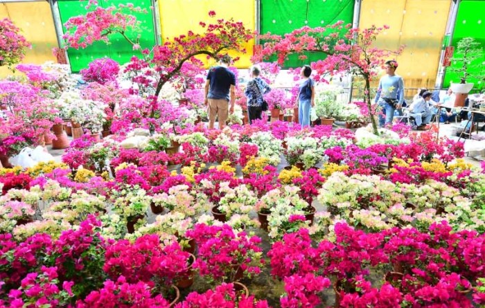 花市台北 花市台北