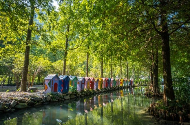 寵物樂園 寵物樂園