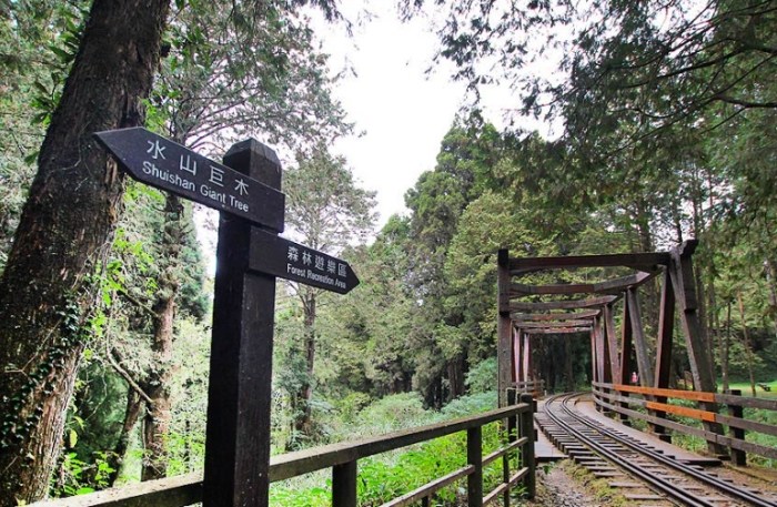 阿里山步道 阿里山步道