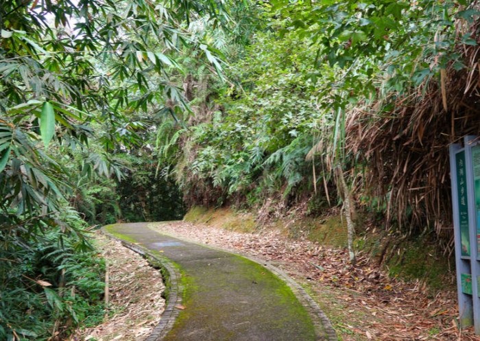 內湖步道 內湖步道