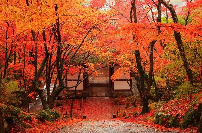 嵐山一日遊