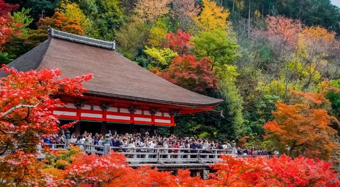 西芳寺
