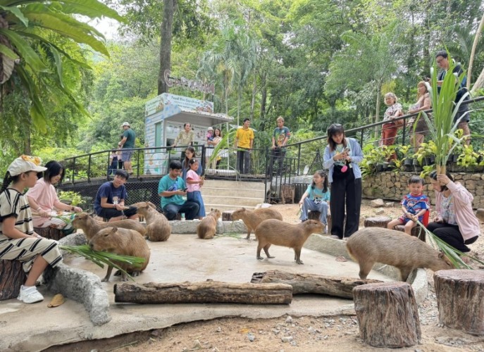 泰國動物園 泰國動物園
