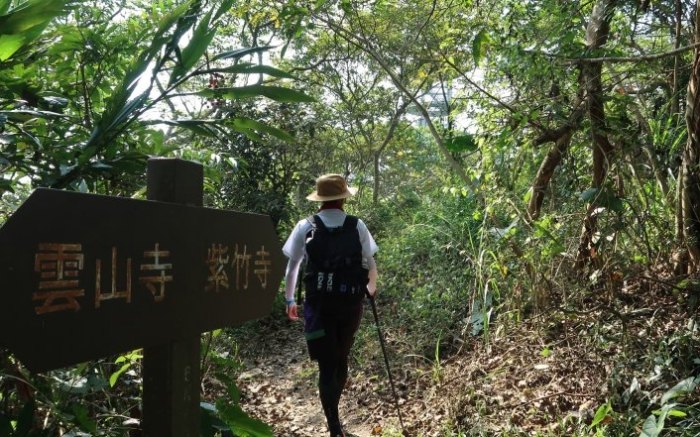 龍麟山步道 龍麟山步道
