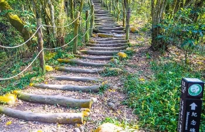 大坑二號登山步道 大坑二號登山步道