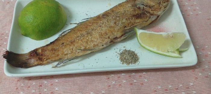 馬頭魚 馬頭魚