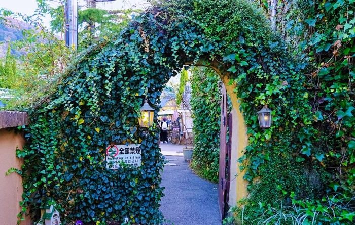 湯布院花卉村 湯布院花卉村