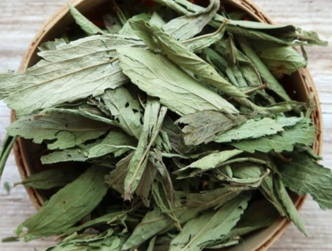 甜菊葉功效 甜菊葉功效