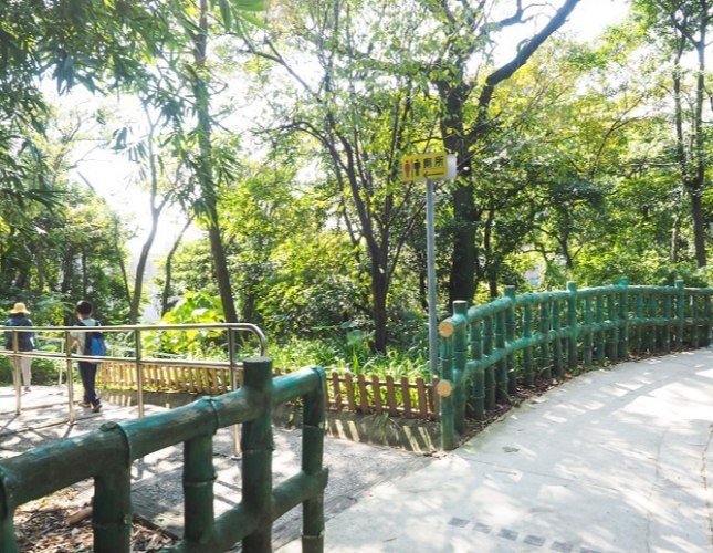 鶯歌孫龍步道 鶯歌孫龍步道