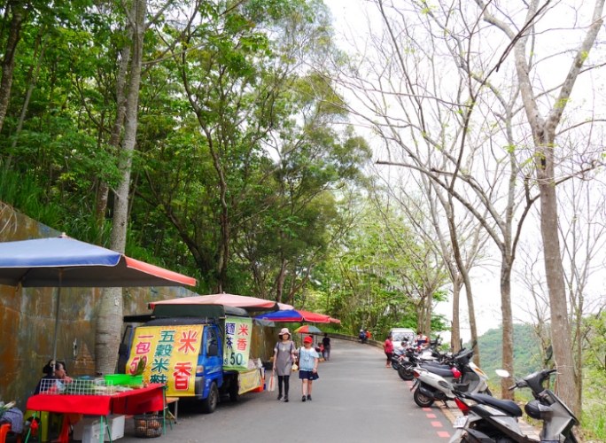 員林藤山步道 員林藤山步道