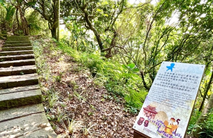 大坑6號步道 大坑6號步道