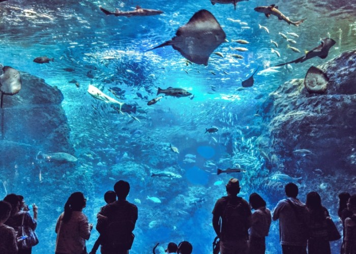 江之島水族館 江之島水族館