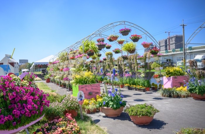台中花市 台中花市