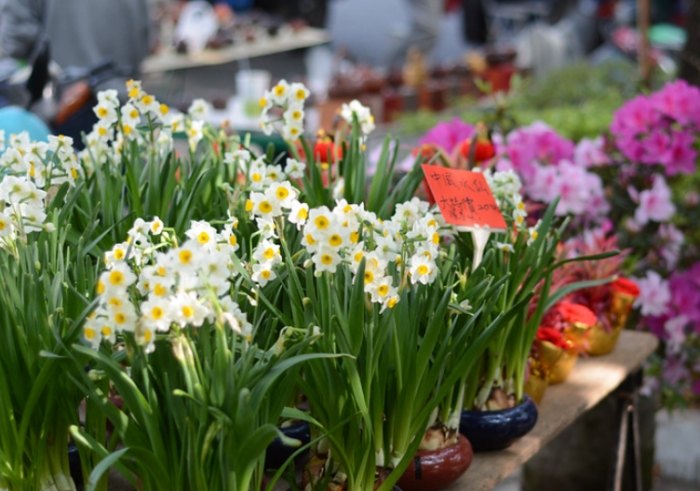 高雄花市 高雄花市