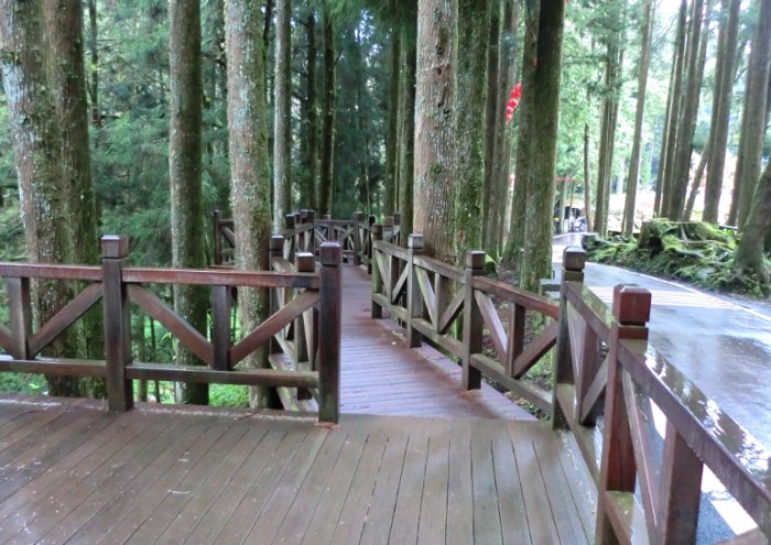 阿里山步道 阿里山步道