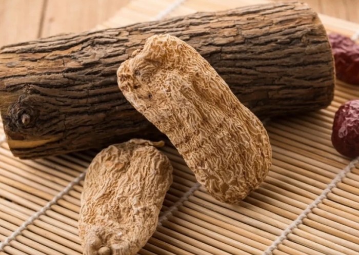 天麻功效 天麻功效
