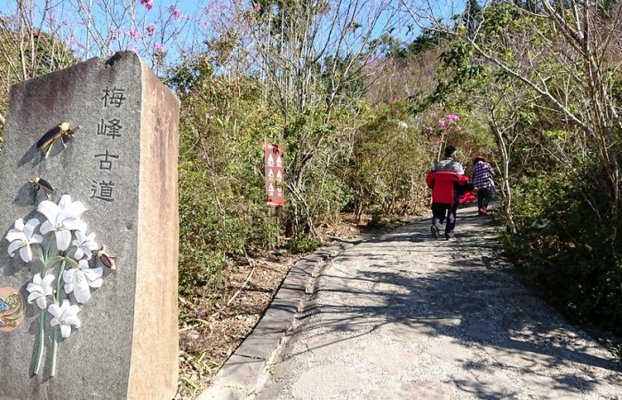梅嶺風景區 梅嶺風景區