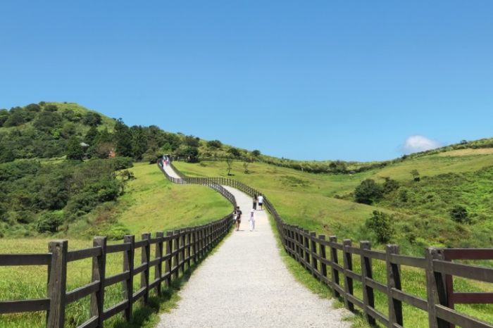 擎天崗環形步道 擎天崗環形步道