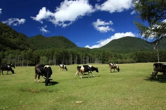 大甲鐵砧山風景特定區 大甲鐵砧山風景特定區