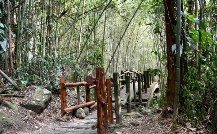 迷糊步道 迷糊步道