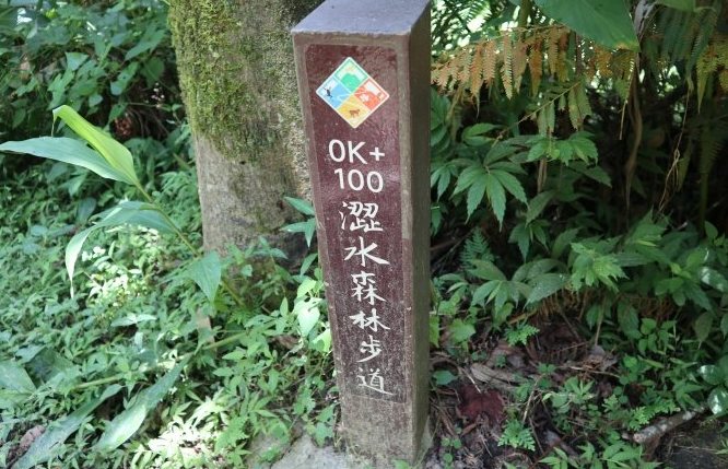 澀水森林步道 澀水森林步道