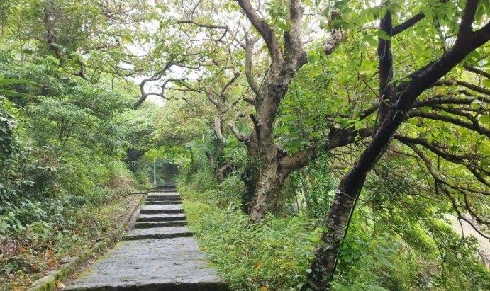 貴子坑親山步道 貴子坑親山步道