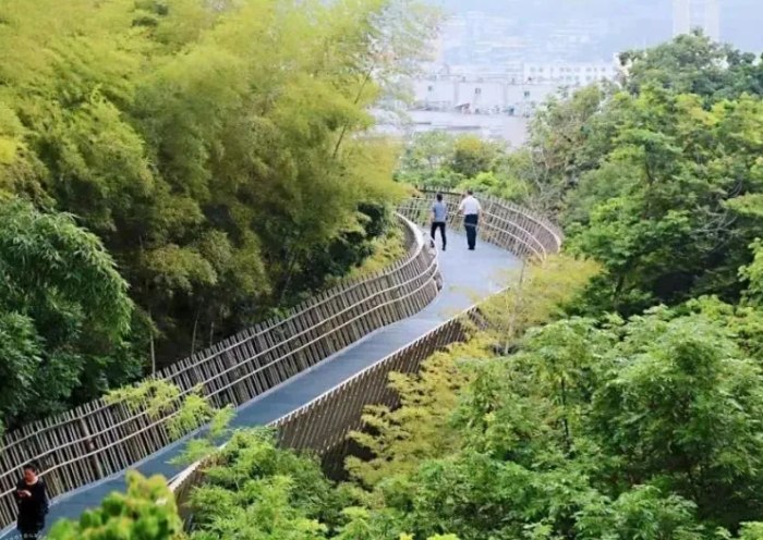 福源山步道 福源山步道