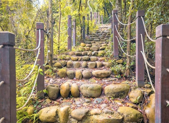 大坑三號登山步道 大坑三號登山步道