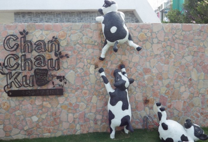 千巧谷牛樂園 千巧谷牛樂園