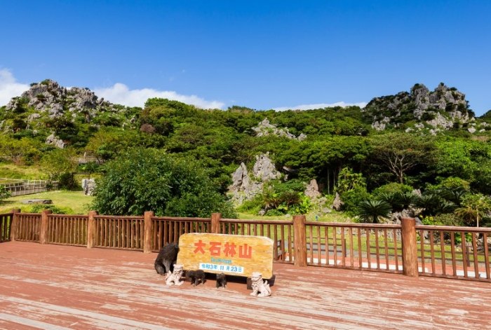 大石林山 大石林山