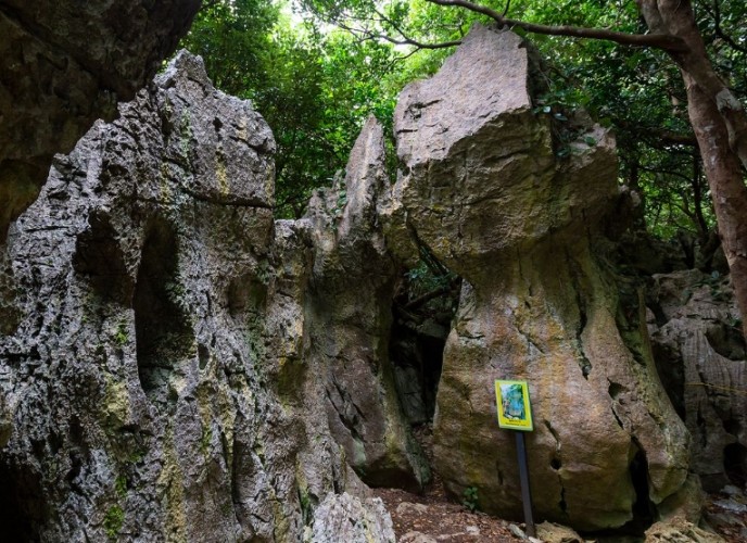 大石林山 大石林山