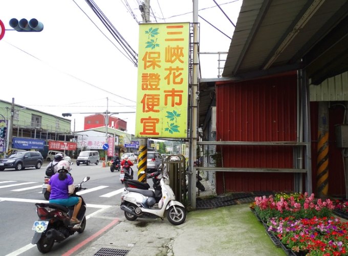 三峽花市 三峽花市