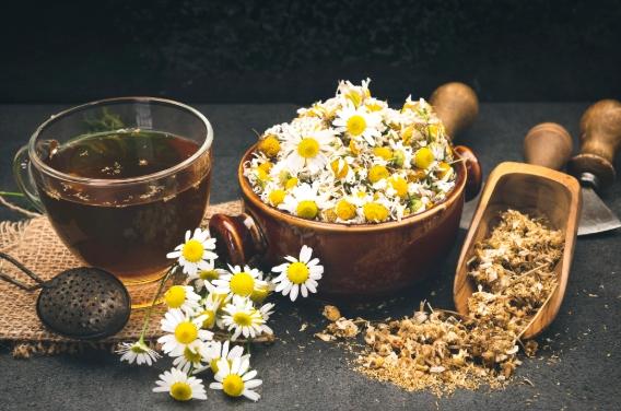 洋甘菊茶功效 洋甘菊茶功效