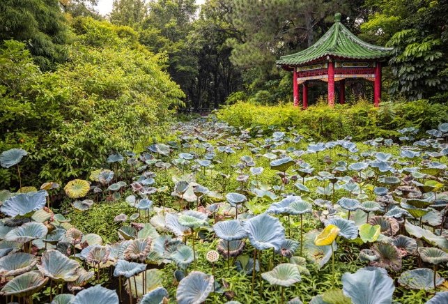 台北歷史博物館 台北歷史博物館