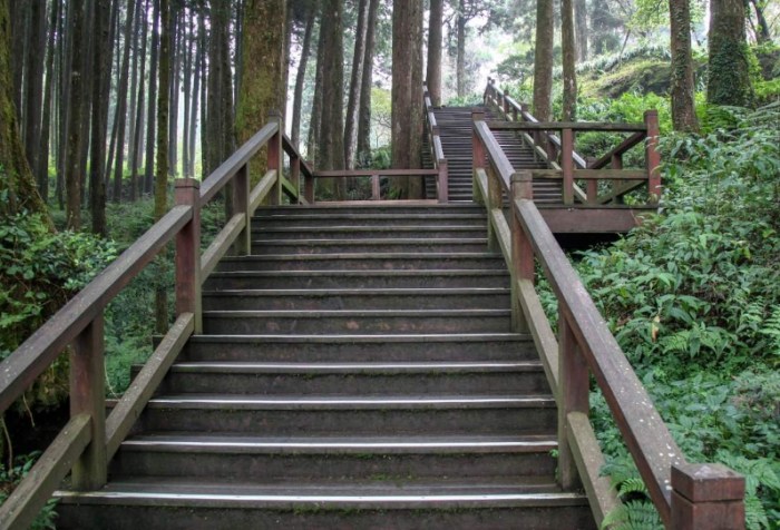 阿里山步道 阿里山步道
