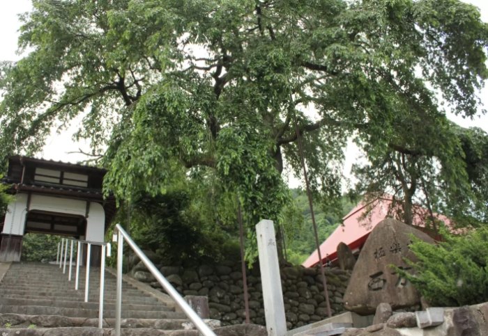 西芳寺