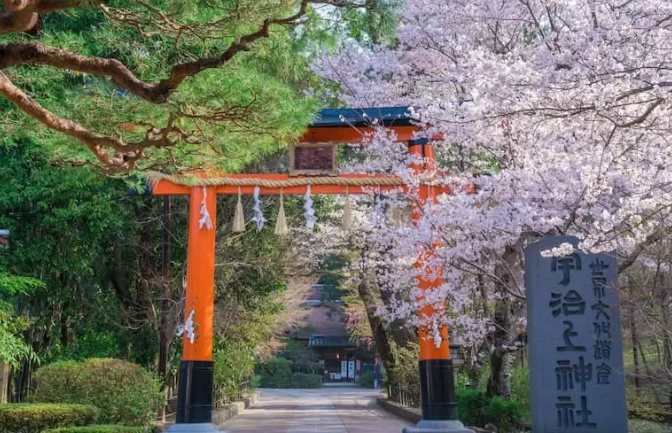 三室戶寺 三室戶寺