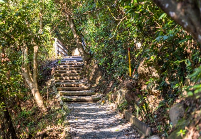 柴山步道 柴山步道