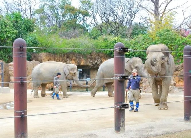 上野動物園 上野動物園