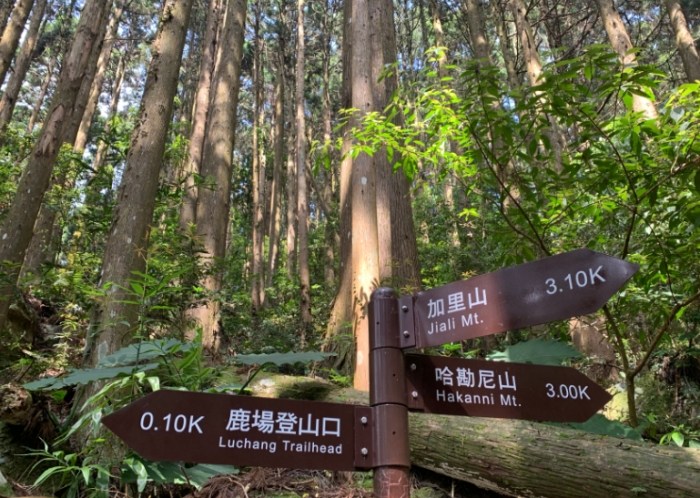 加里山步道 加里山步道