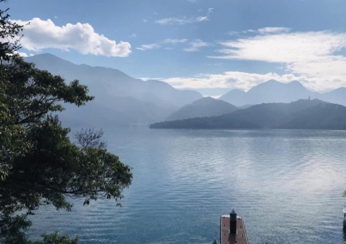 奮起湖杉林步道