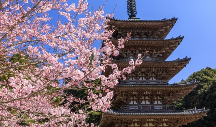 醍醐寺 醍醐寺