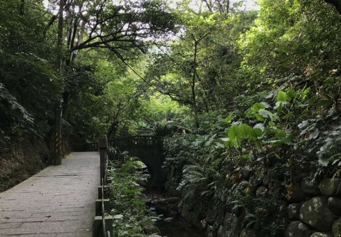 虎山溪步道 虎山溪步道