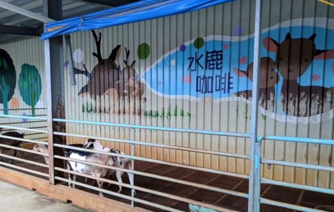 水鹿咖啡親子館 水鹿咖啡親子館