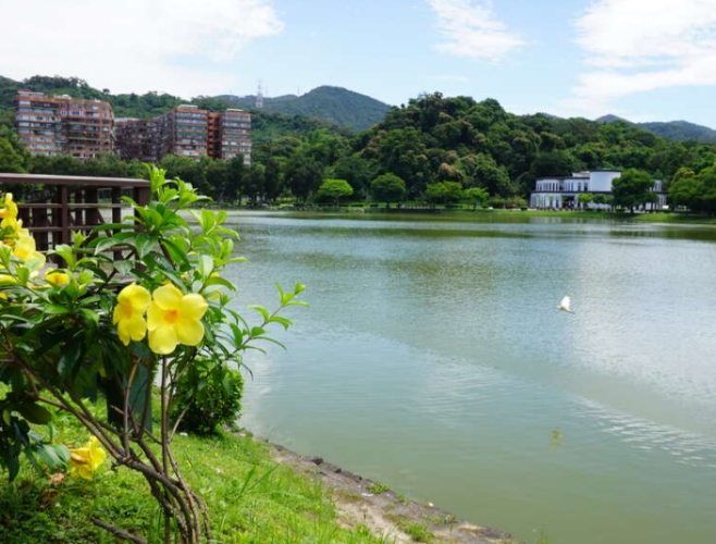 碧湖 碧湖