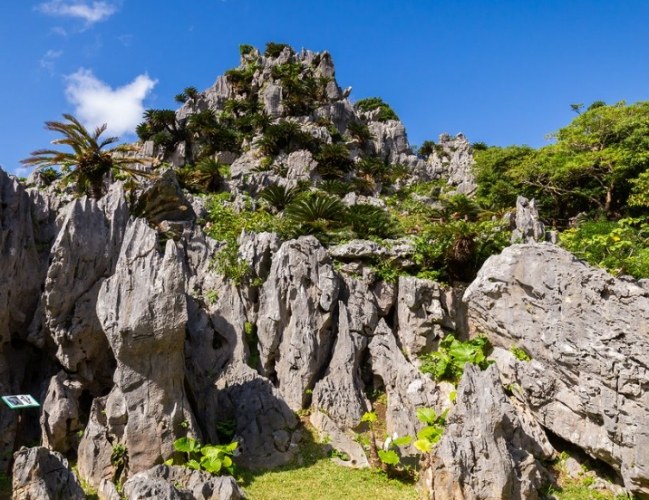 大石林山 大石林山