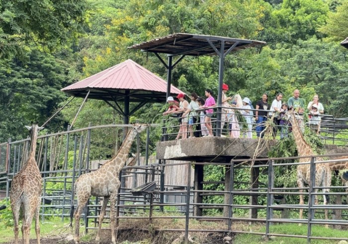 綠山動物園 綠山動物園
