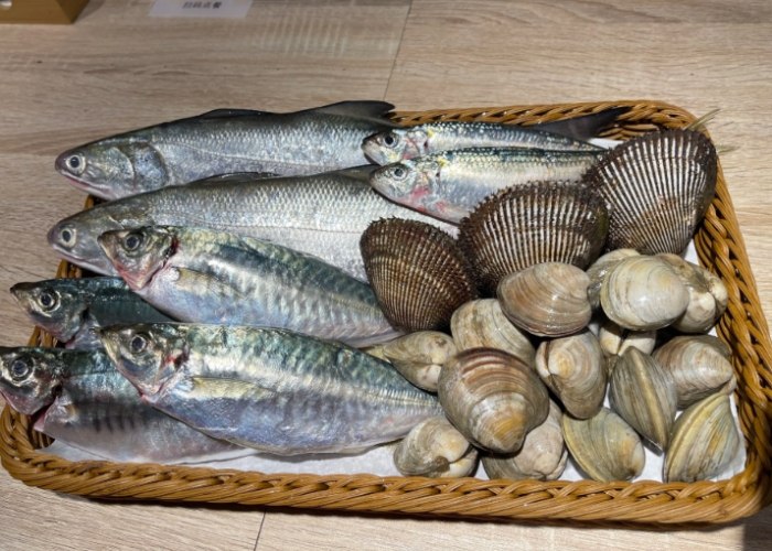 竹筴魚