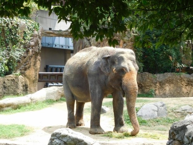 天王寺動物園 天王寺動物園
