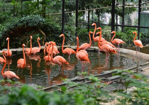 香港動物園